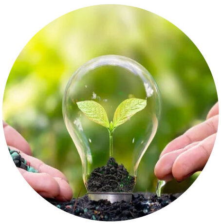 sustainable timber harvesting